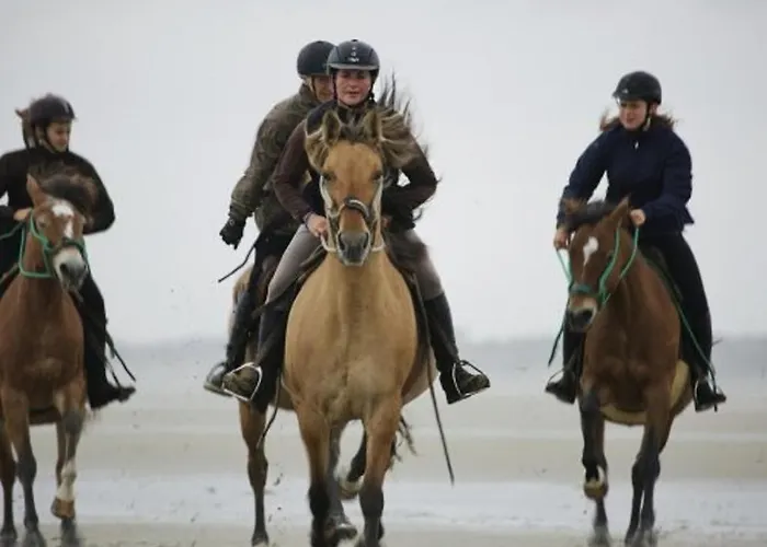 פארק נופש Pierre & Les Dunes Du Medoc